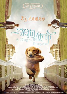 色婷婷91
